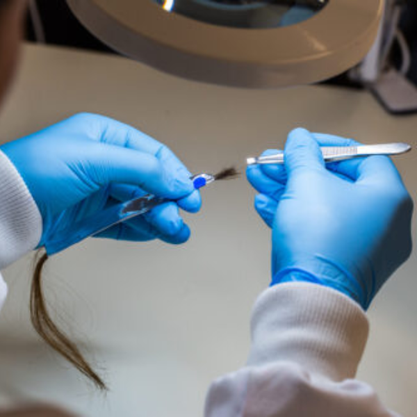 Lextox - Drug testing service