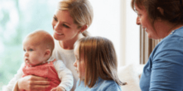 Knowledgehub Information For Local Authorities