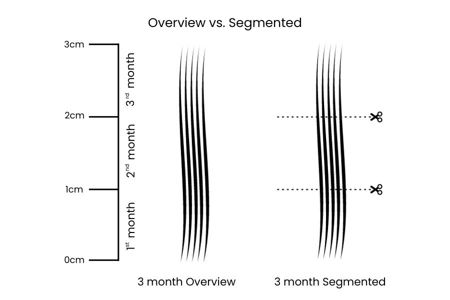 Overview vs Segmented Hair Drug testing explainer