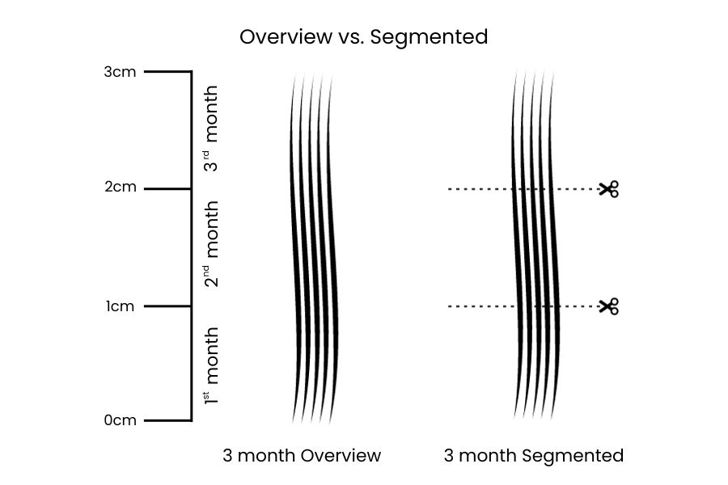Overview vs Segmented Hair Analysis for Drug and Alcohol Testing