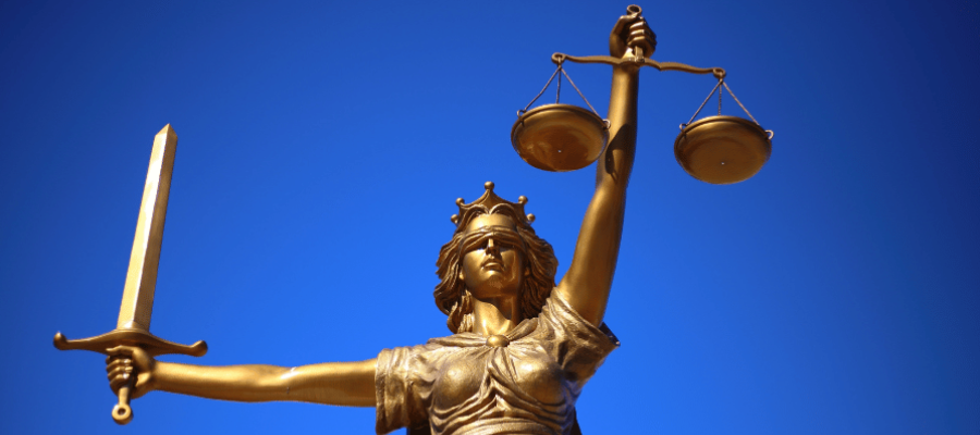 Expert Witness
