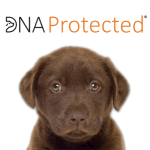 Other Services Link - DNA Protected and the Forensic Dog DNA Database