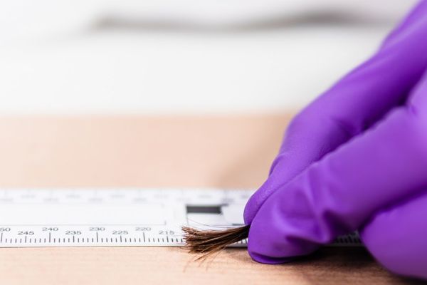 Email Header Hair Drug And Alcohol