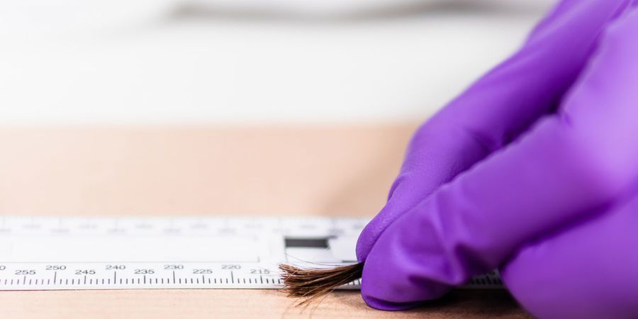 Email Header Hair Drug And Alcohol