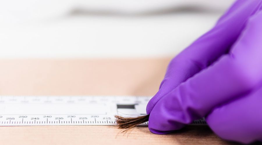 Interpreting Drug and Alcohol Test Results