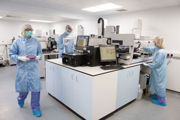 How I Became A DNA Interp Scientist