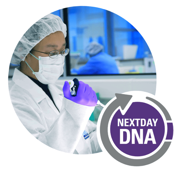 Next Day DNA Testing Logo