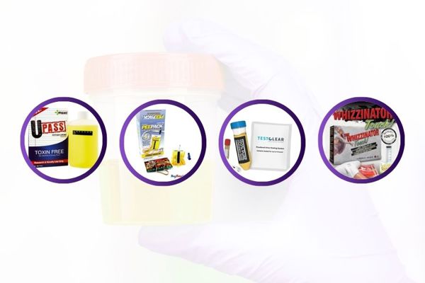 Ways To Cheat A Urine Test